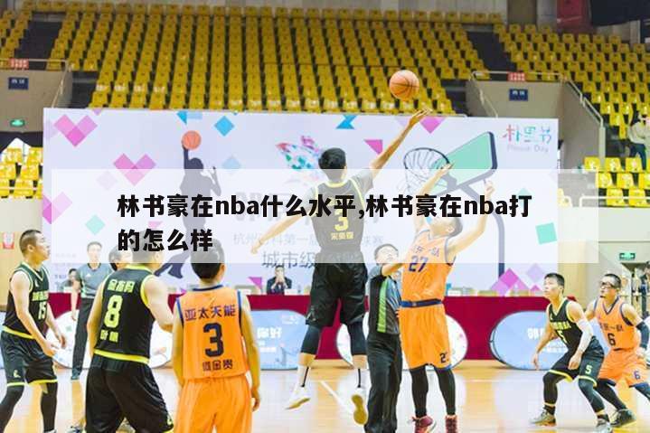 林书豪在nba什么水平,林书豪在nba打的怎么样