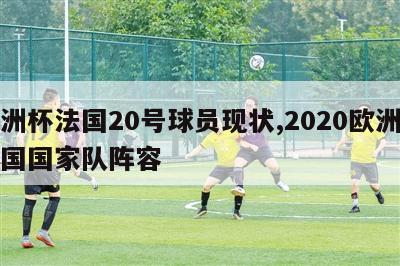 欧洲杯法国20号球员现状,2020欧洲杯法国国家队阵容