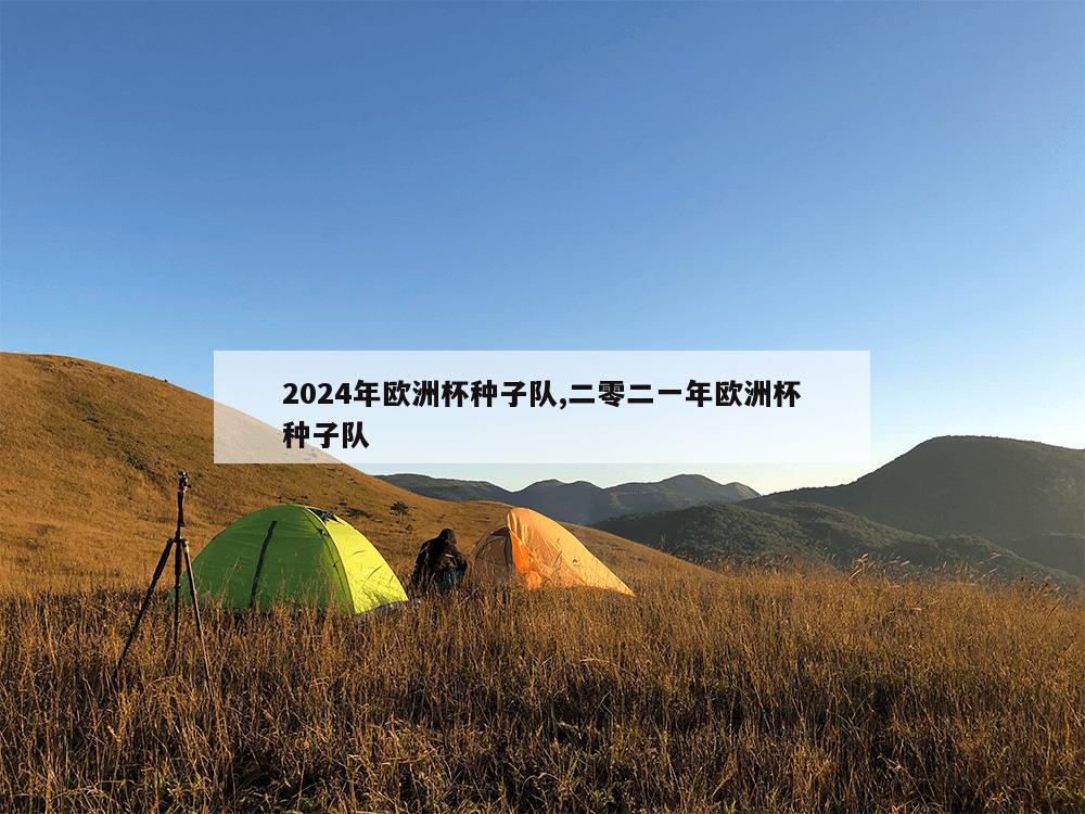 2024年欧洲杯种子队,二零二一年欧洲杯种子队