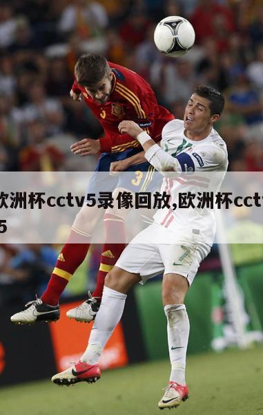 欧洲杯cctv5录像回放,欧洲杯cctv 5