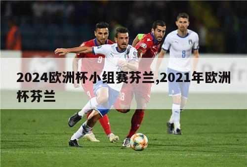 2024欧洲杯小组赛芬兰,2021年欧洲杯芬兰