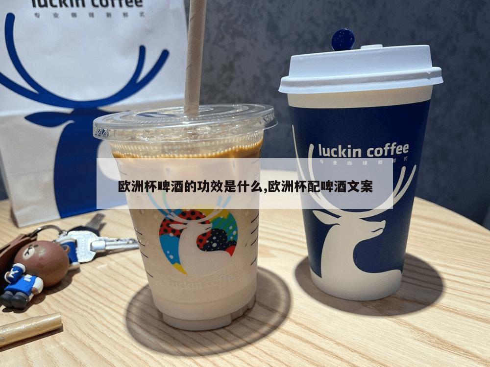 欧洲杯啤酒的功效是什么,欧洲杯配啤酒文案