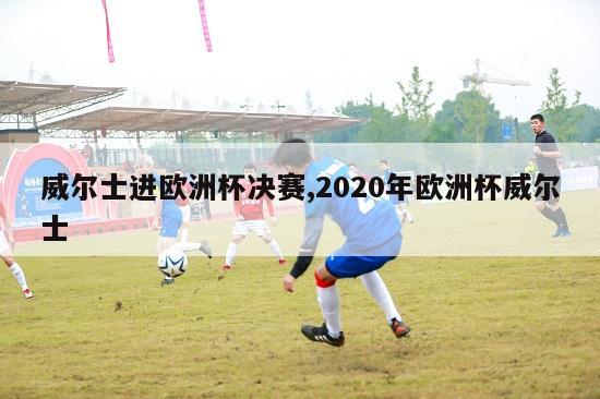 威尔士进欧洲杯决赛,2020年欧洲杯威尔士