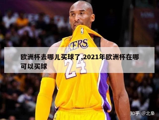 欧洲杯去哪儿买球了,2021年欧洲杯在哪可以买球