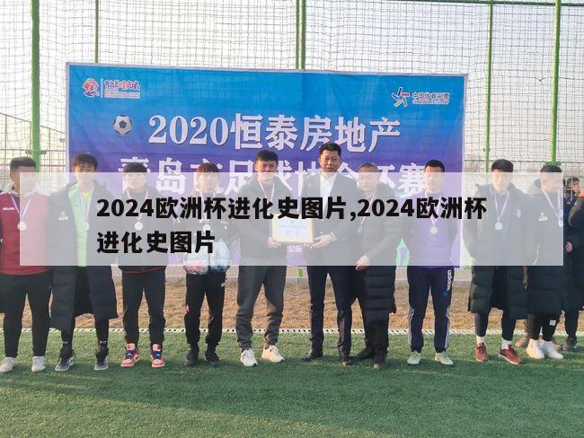 2024欧洲杯进化史图片,2024欧洲杯进化史图片